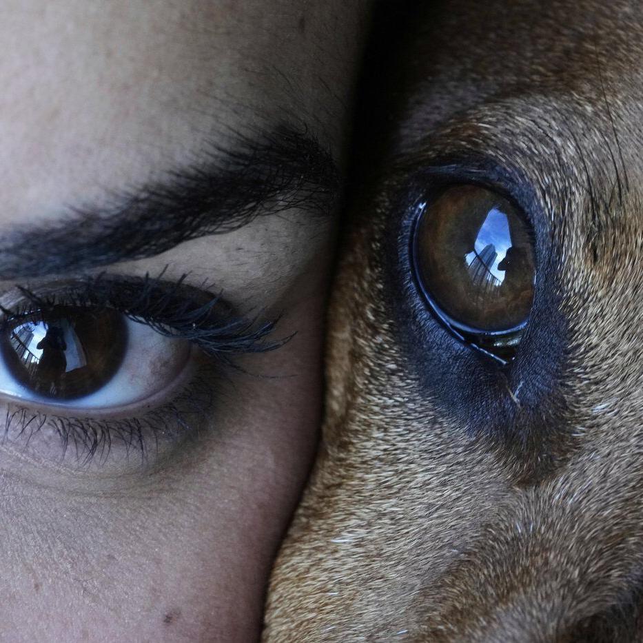 AP PHOTOS: A look at May's most compelling images from around the world